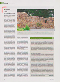 Leserbrief / Baurestauration Sören Rudolph